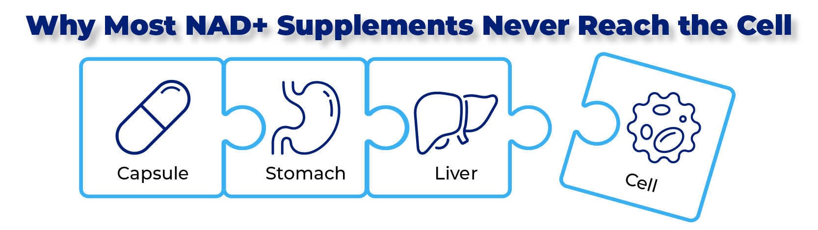 IMAGE 3-Why Supplements Fail